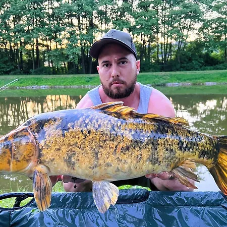 シャレー Ozonia Wellness House