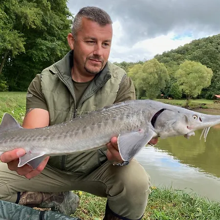 Ozonia Wellness House シャレー *