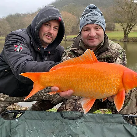 Ozonia Wellness House