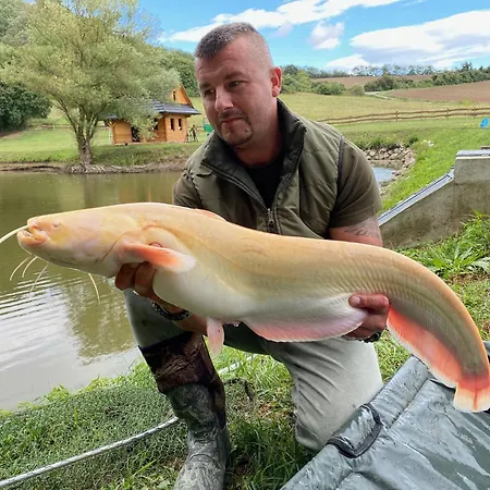 Chalet Ozonia Wellness House *