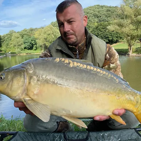 Ozonia Wellness House シャレー Šahy