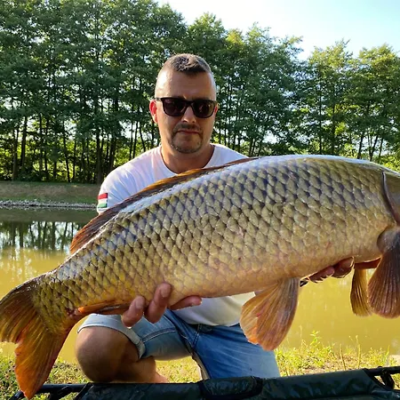 Ozonia Wellness House Sahy