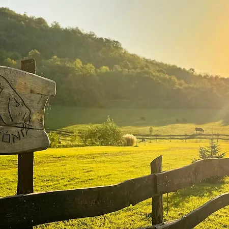 Ozonia Wellness House *