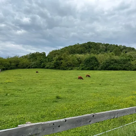 Ozonia Wellness House シャレー *