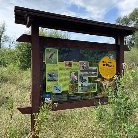 Ozonia Wellness House Sahy