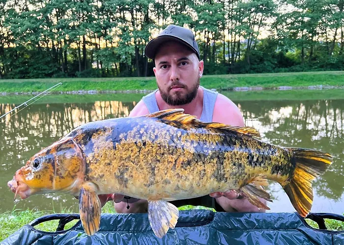 Шале Ozonia Wellness House