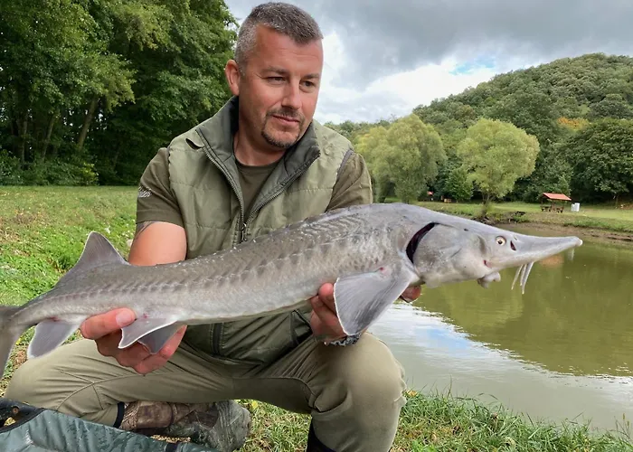 Ozonia Wellness House Шале *