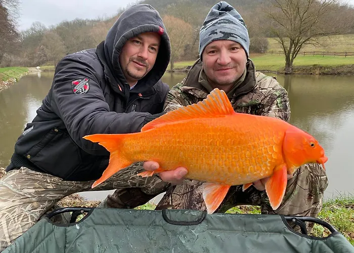 Ozonia Wellness House