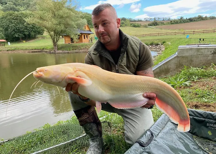 Шале Ozonia Wellness House *