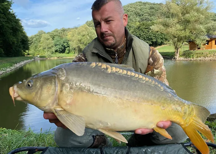 Ozonia Wellness House Шале Sahy