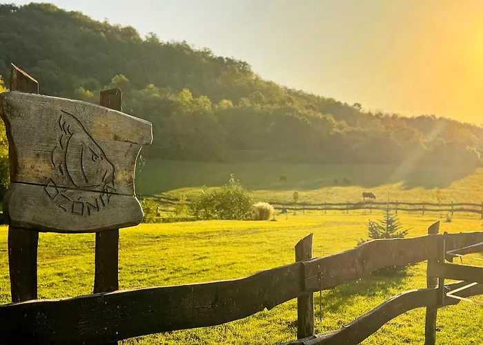 Ozonia Wellness House *