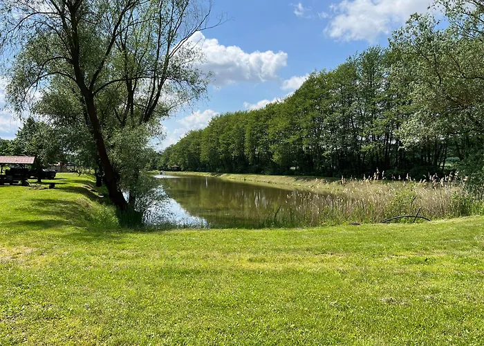 Шале Ozonia Wellness House *