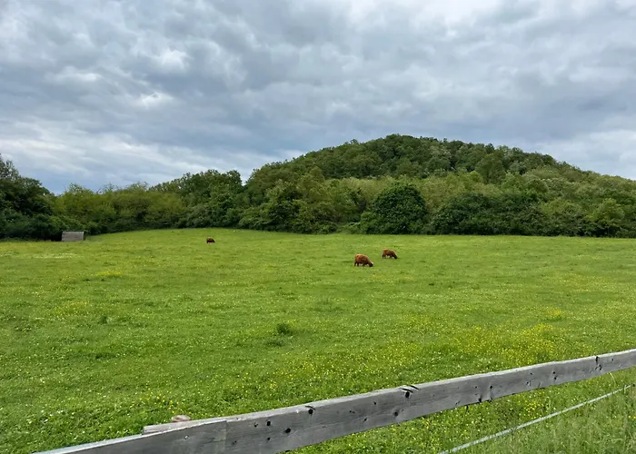 Ozonia Wellness House Шале *