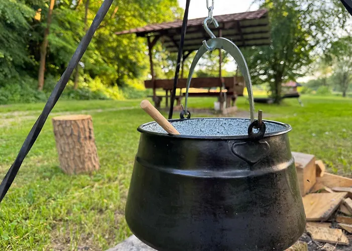 Шале Ozonia Wellness House *