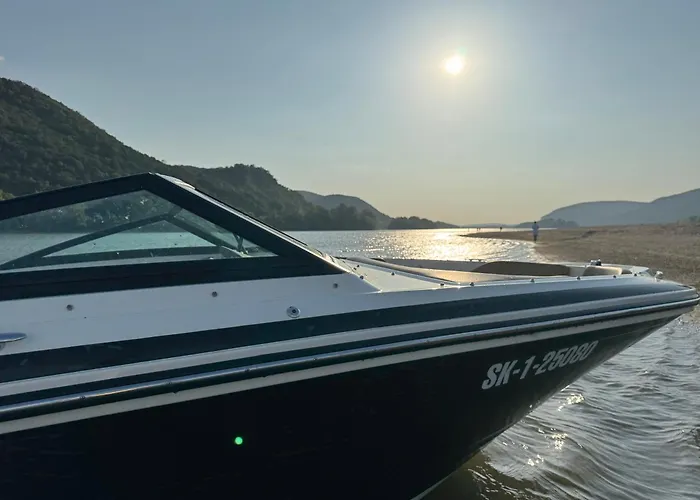 Шале Ozonia Wellness House