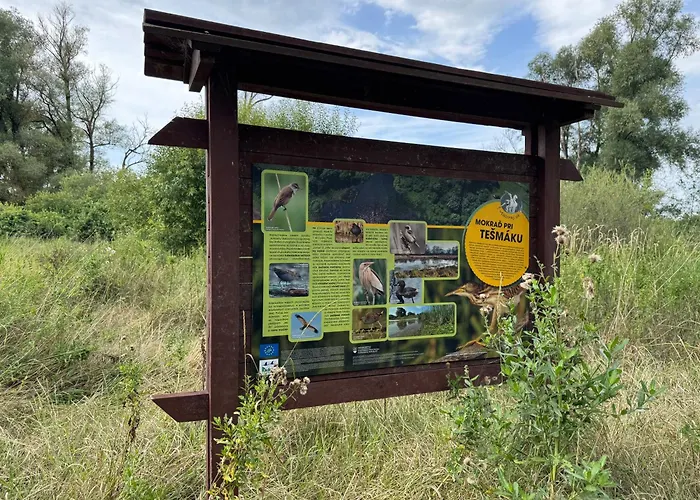 Ozonia Wellness House Sahy