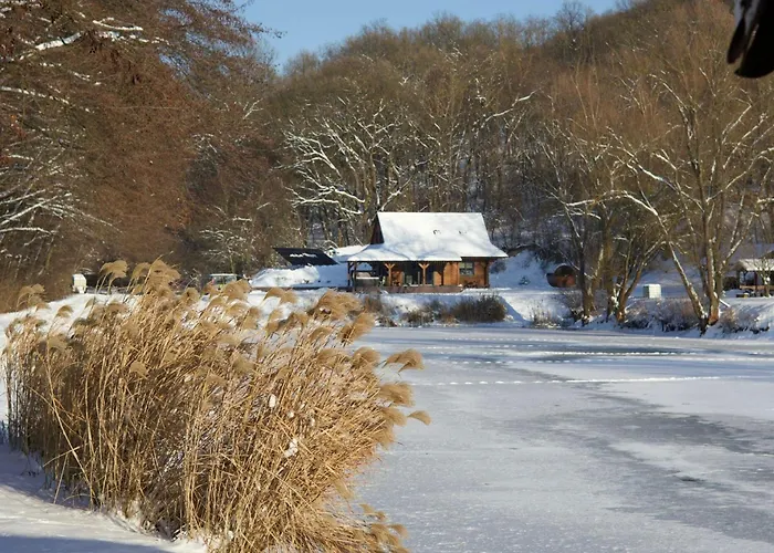 Ozonia Wellness House *