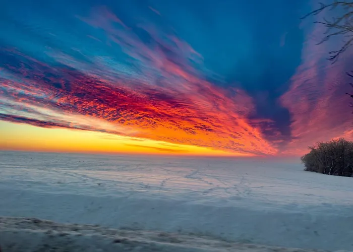 Ozonia Wellness House Шале Sahy