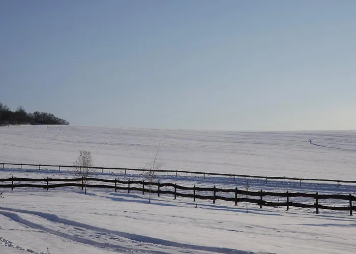 Ozonia Wellness House Шале *