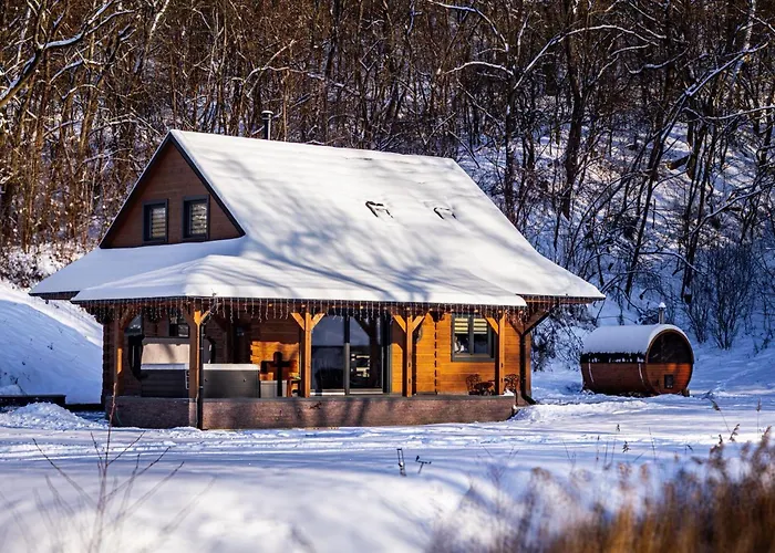 Шале Ozonia Wellness House