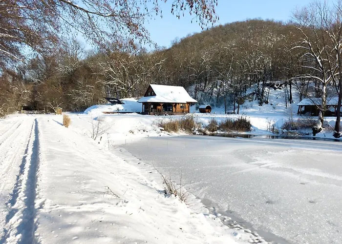 Ozonia Wellness House